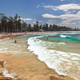 Image for article titled Things in Australia That Want to Kill You